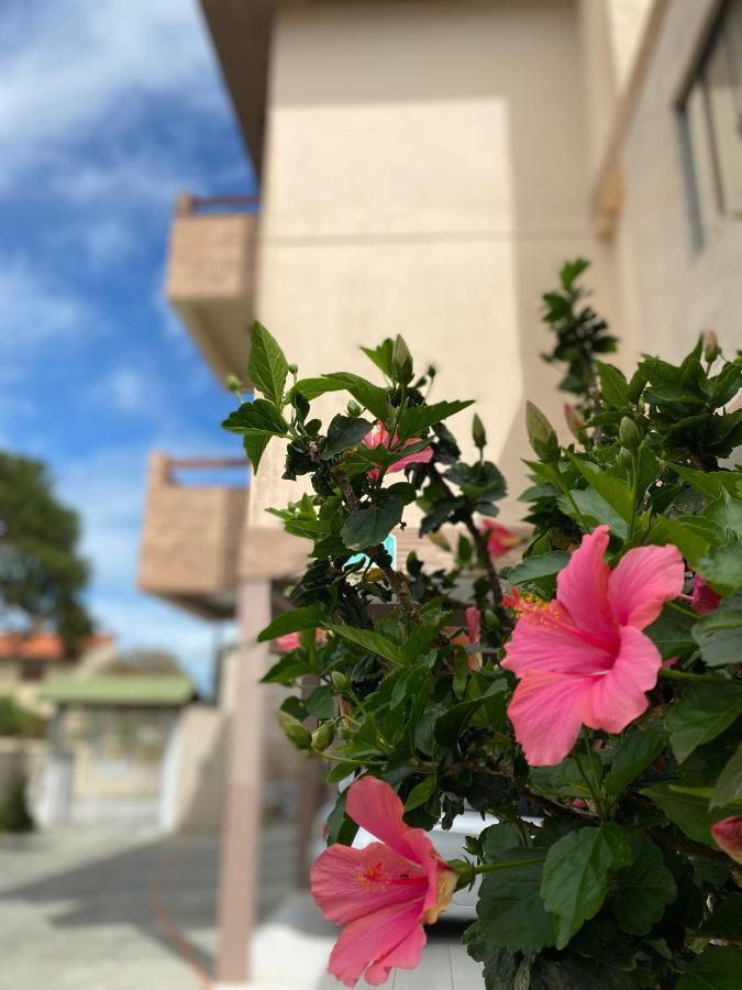 Hotel & Pousada Bella Vista Florianópolis 외부 사진
